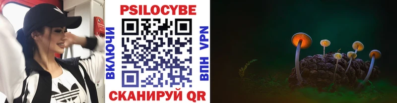 Псилоцибиновые грибы Cubensis кракен онион Гуково